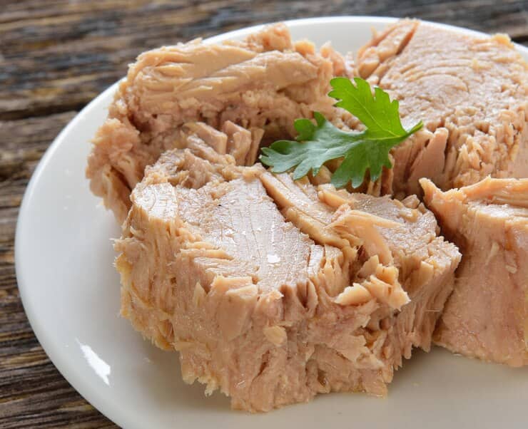 تصویر 4 از فروش کنسرو ماهی فیله + قیمت خرید به صرفه